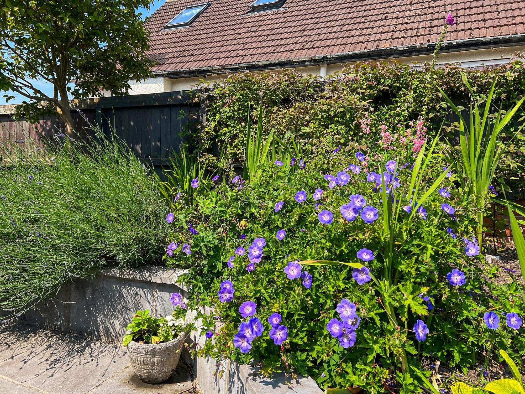 Cwtch Cottage Cardiff Buitenkant foto